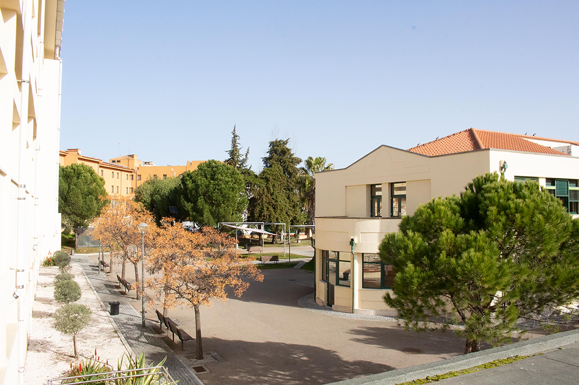 "Deus quer, o homem sonha, a obra nasce."